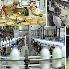 Производство молочных заводов